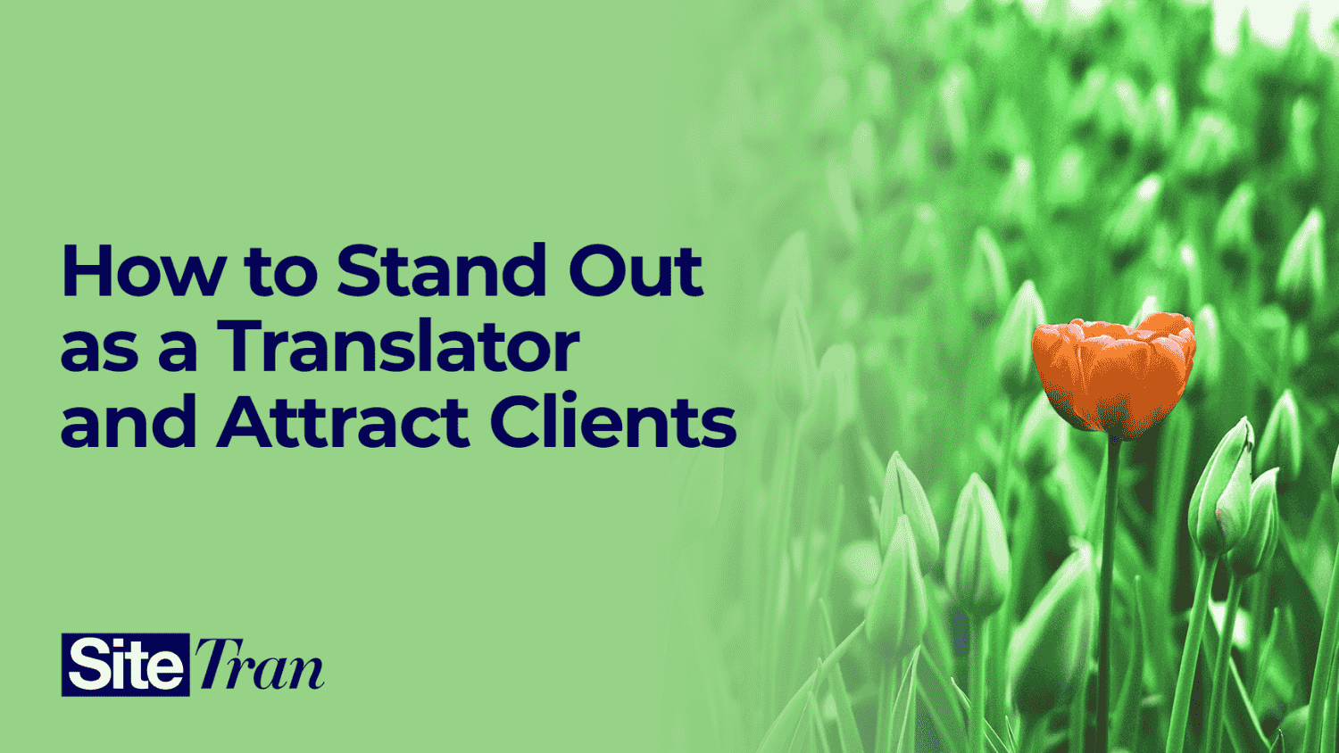 Tips for translators to stand out and attract more clients with unique skills and expertise