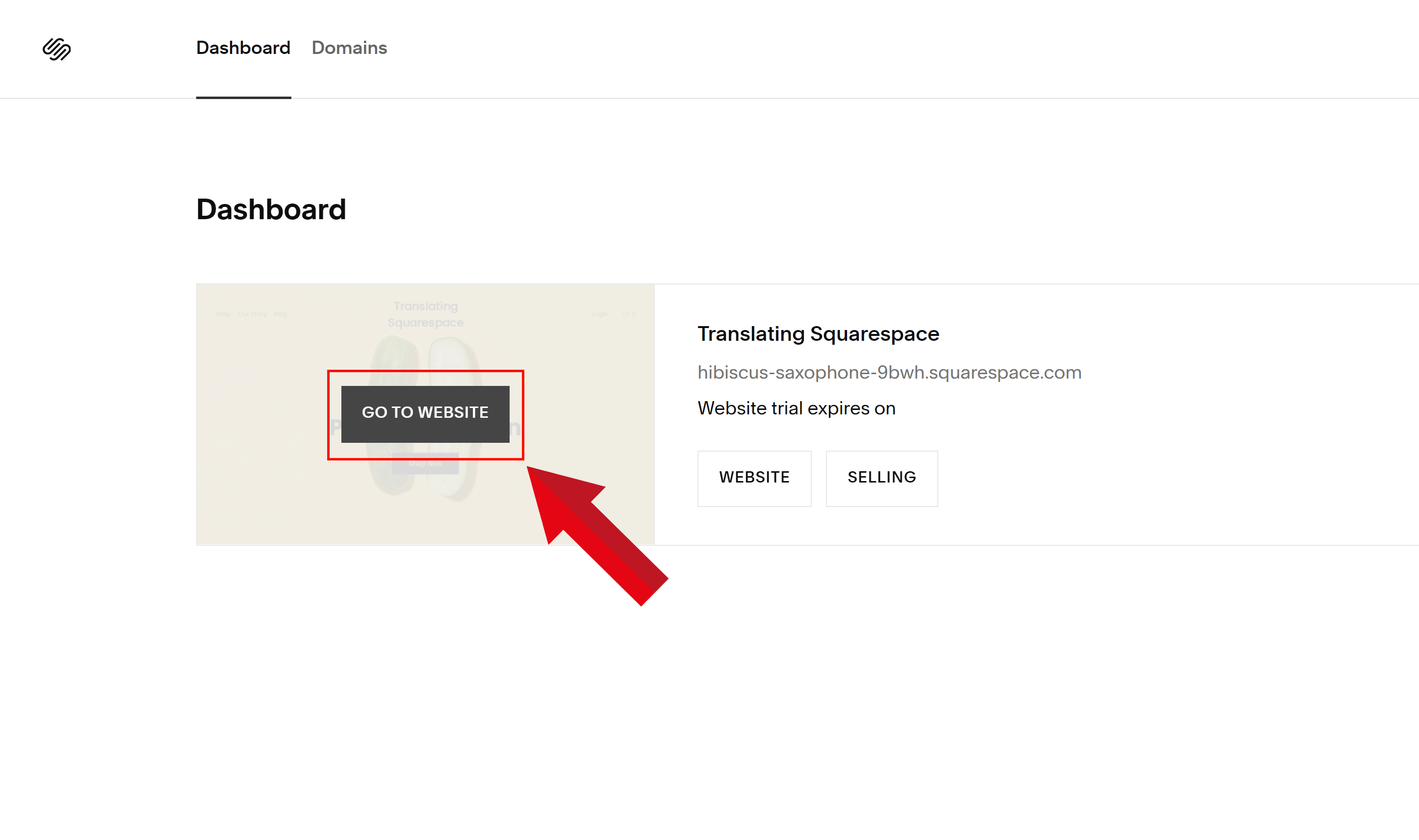 Navigating to Your Squarespace Website for Sitetran Integration